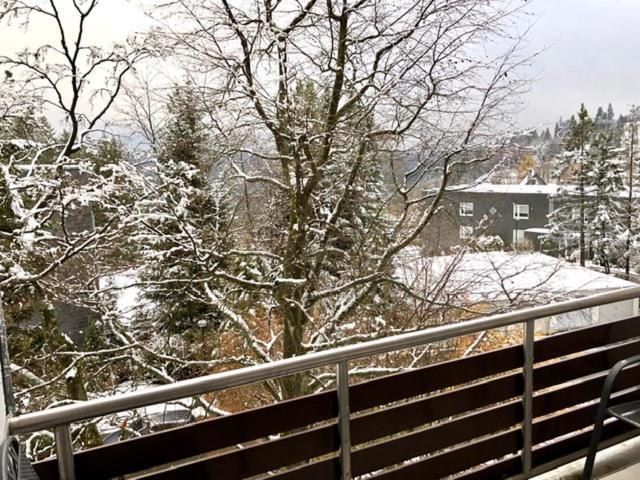 Fewo Kappi Winterberg Esterno foto